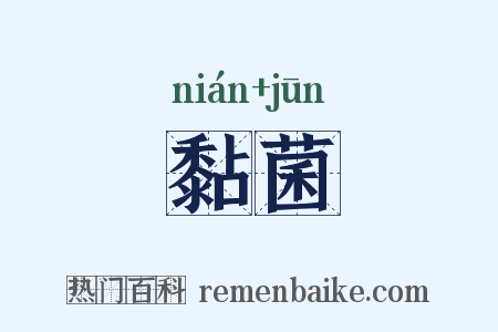 黏菌是什么意思的图片